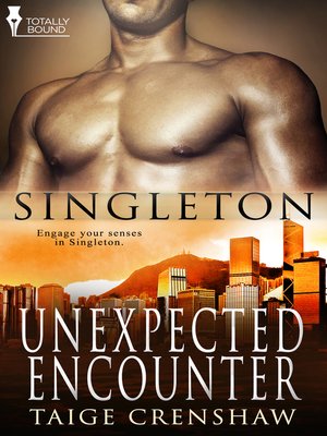 cover image of Unexpected Encounter